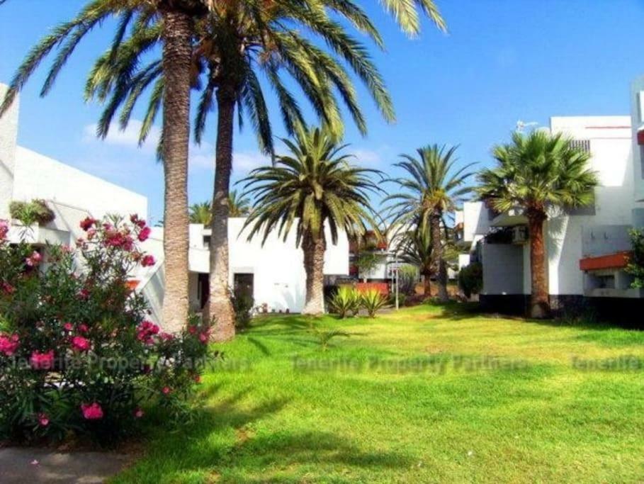 Frontera Primavera Costa Del Silencio Buitenkant foto
